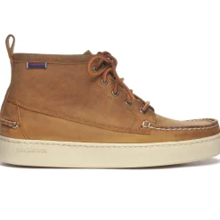 Brig CH - Brown Tan