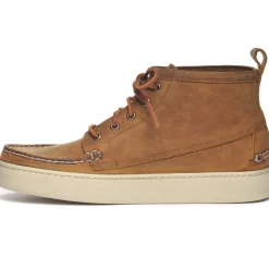 Brig CH - Brown Tan