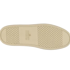 Brig CH - Brown Tan